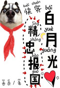 《白月光精忠报国[快穿]》