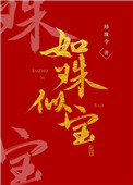 《如珠似宝》小说