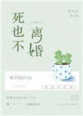《死也不离婚》小说