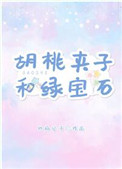 胡桃夹子和绿宝石小说