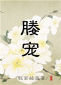 《媵宠》