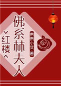 [红楼]佛系林夫人小说