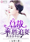 念念不忘，总裁乘胜追妻小说
