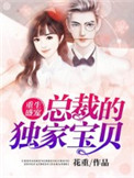 《重生盛宠：总裁的独家宝贝》