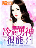 《一撞成婚：冷面男神很能干》