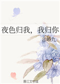 夜色归我，我归你小说