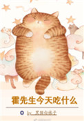 《霍先生今天吃什么》小说
