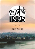《回档1995》