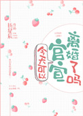 今天可以官宣离婚了吗小说