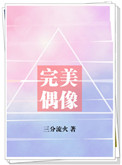 完美偶像小说