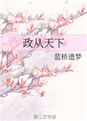 《政从天下》