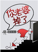 你老婆掉了小说