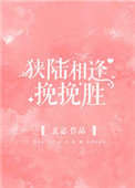 狭陆相逢挽挽胜小说