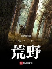 捡了一片荒野小说