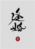 逢婚小说