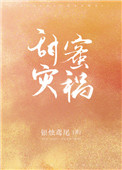 甜蜜灾祸小说