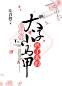 《重生后太子扒了我的小马甲》