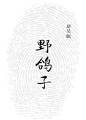 野鸽子小说