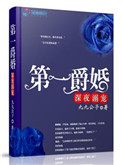 《第一爵婚》小说