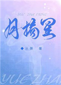 月摘星小说