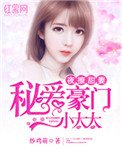 《夜撩甜妻：秘爱豪门小太太》