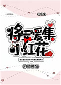 《将军爱集小红花》