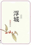 恋恋浮城小说