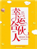 幸运合伙人小说