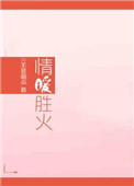 情暖胜火小说