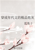 《穿成年代文的极品炮灰》