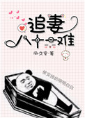 《追妻八十一难》