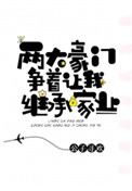 《两大豪门争着让我继承家业》