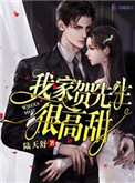 《我家贺先生很高甜》