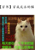 《穿成反派的猫》小说