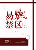 易燃禁区小说