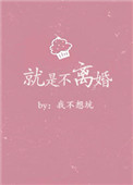 就是不离婚小说