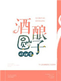 酒酿圆子好甜呀小说