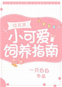 《小可爱生存指南[综英美]》