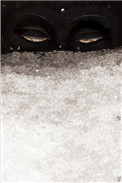 《见雪深（洒家）》