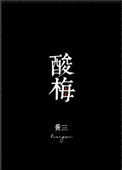 酸梅小说