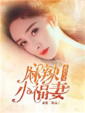 《重回九零麻辣小福妻》