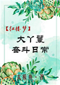 《[红楼]大丫鬟奋斗日常》