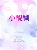 《小醍醐》小说
