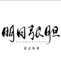 《明目张胆》小说