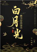 陛下心中有个白月光图片