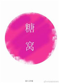 糖窝小说
