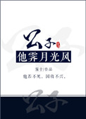 《公子他霁月光风》