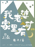 我老婆家里有矿小说