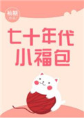 七十年代小福包小说