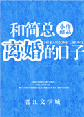 《和简总离婚的日子》小说